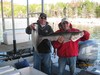 (11/06/2015) - Nice Striped Bass